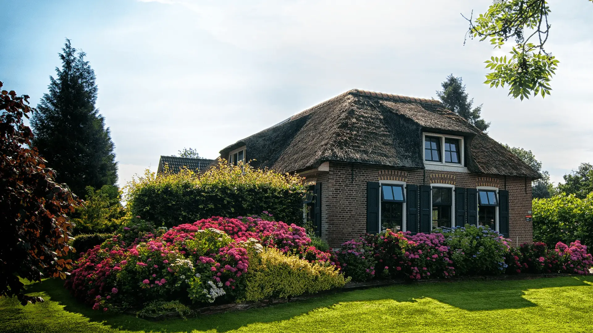 View of a house with a lush green yard and many colorful bushes to either side